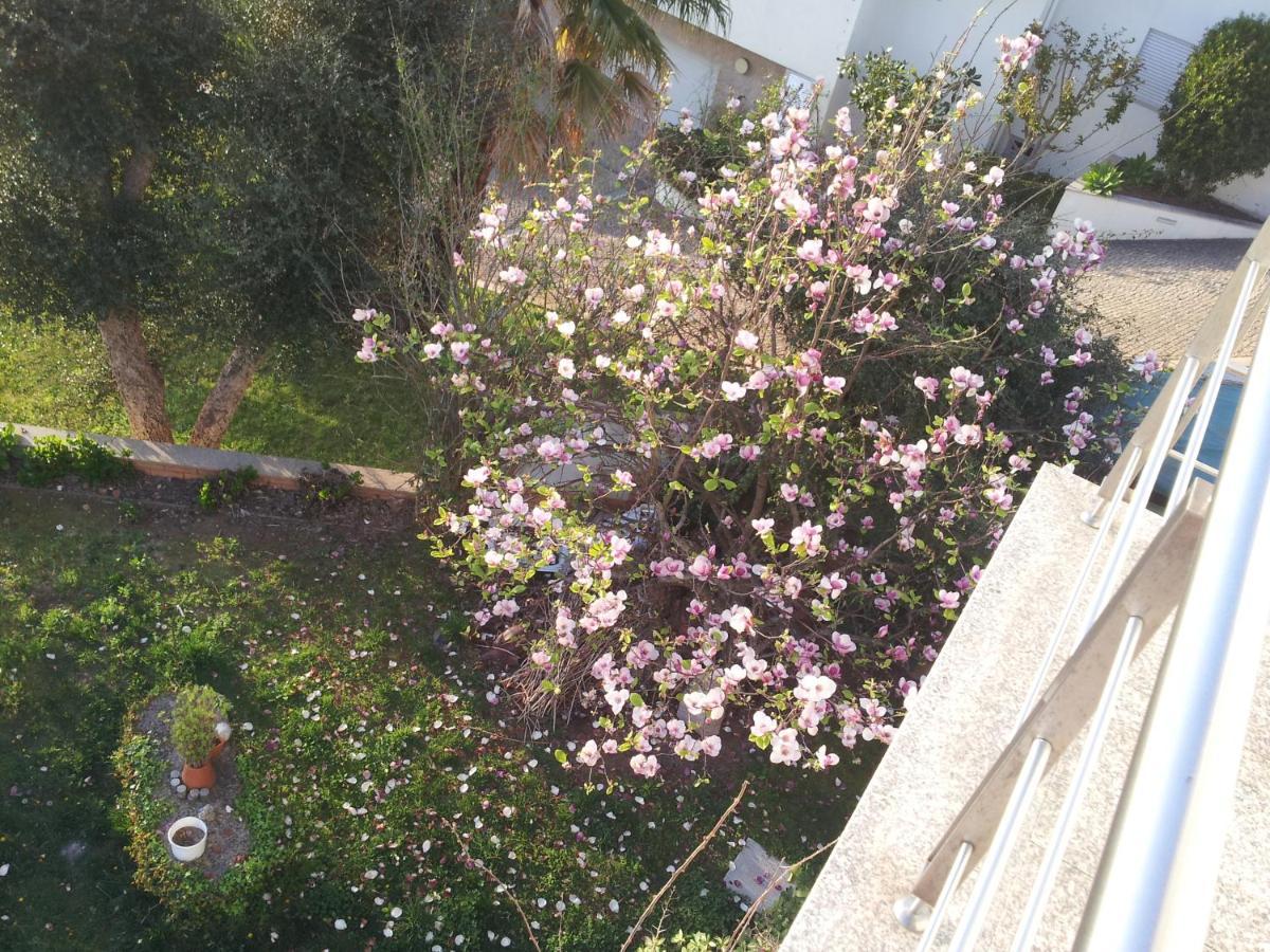 Com O Douro A Vista Bed & Breakfast Jovim Ngoại thất bức ảnh